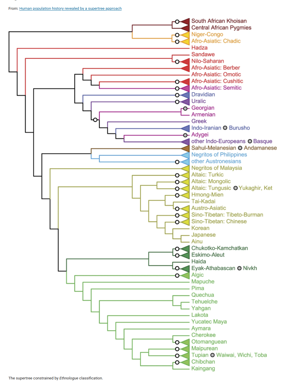 Human Population History